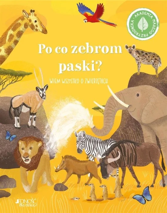 edukamp-320260612191634150919