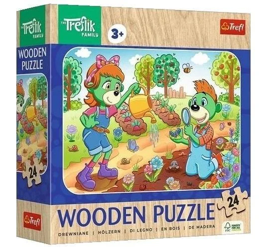edukamp-320260612212216168241