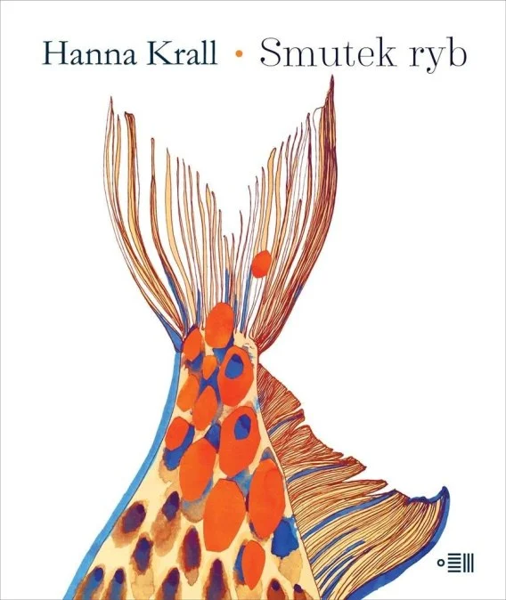 edukamp-320260612213511170343