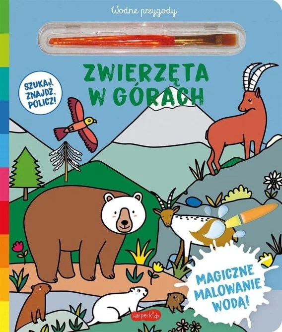 edukamp-320260613052921231068