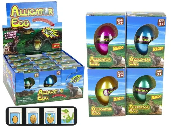 edukamp-4202606101118143539439