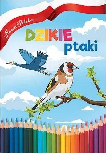 edukamp-4202606101523543580326