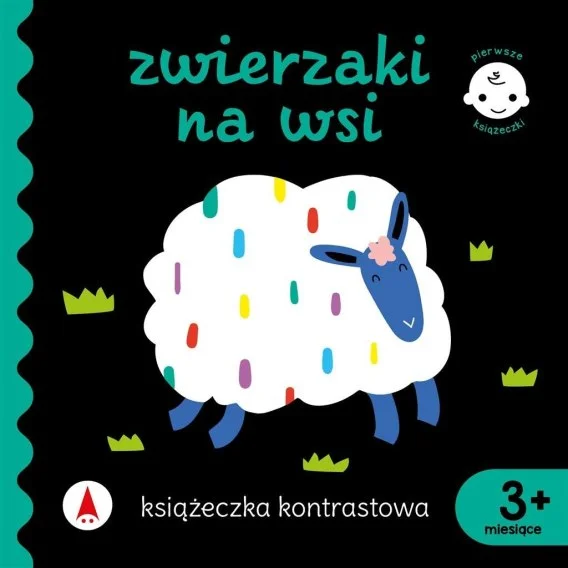 edukamp-4202606101840093612349