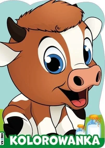 edukamp-4202606101928263620299