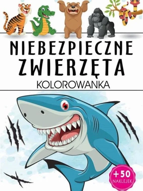 edukamp-4202606102320483635697
