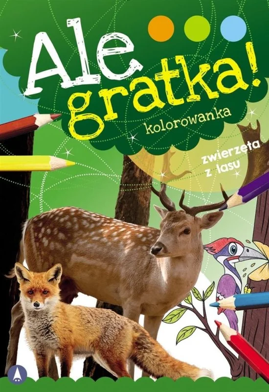 edukamp-4202606110514163657289