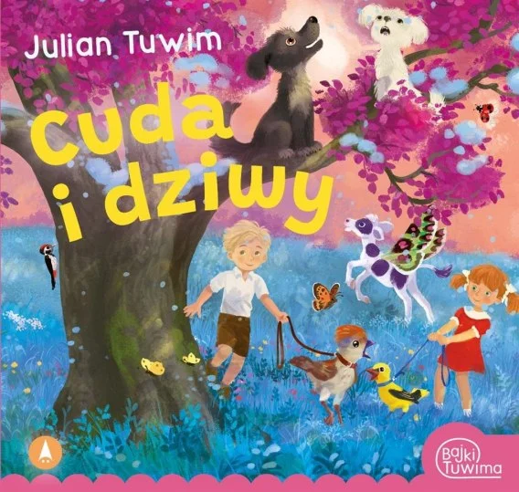 edukamp-4202606110557263659965