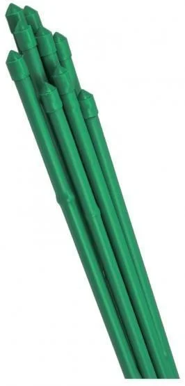edukamp-4202606111140277151