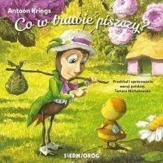 edukamp-42026061200583261517