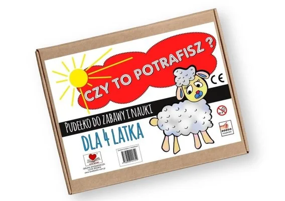 edukamp-42026061201105562423