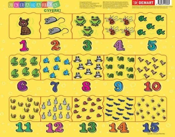 edukamp-42026061205242880897