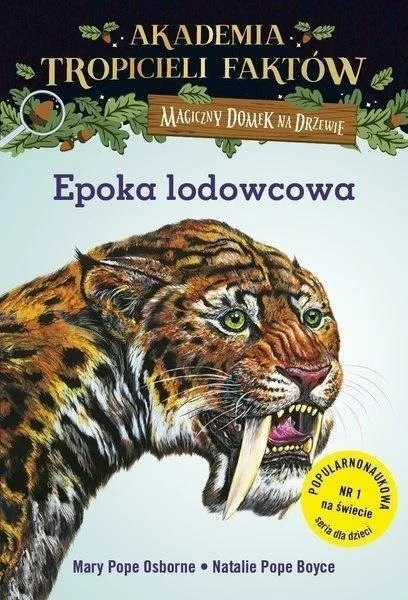 edukamp-42026061205253180969