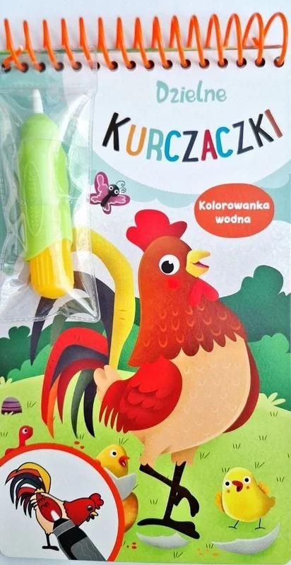 edukamp-42026061205354581709