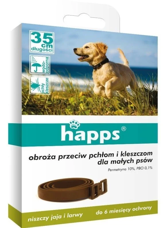 edukamp-42026061206401885397
