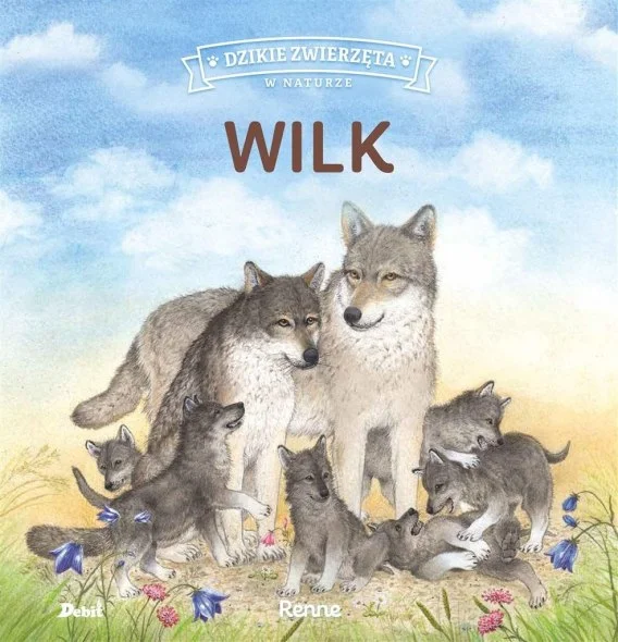 edukamp-42026061207111386691