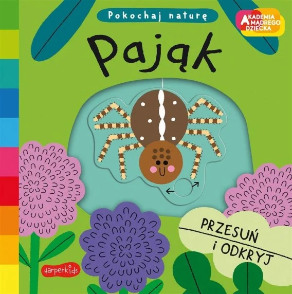 edukamp-42026061209010791427