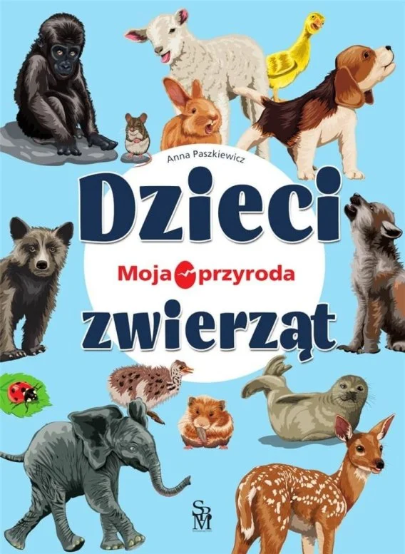 edukamp-42026061209575893946