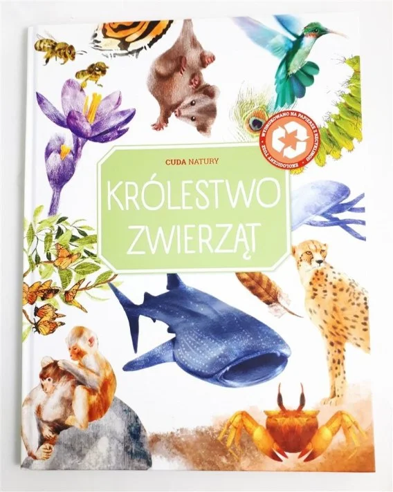 edukamp-420260612104246102025