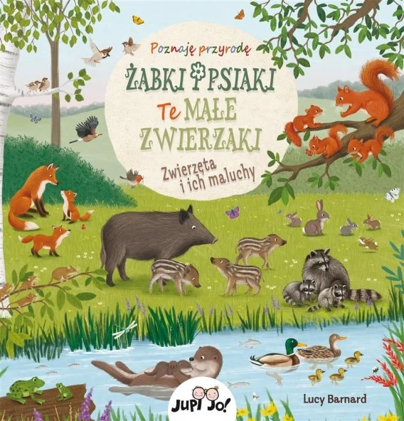 edukamp-420260612122436116849