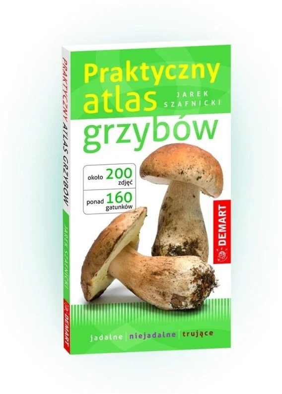 edukamp-420260612151008125641