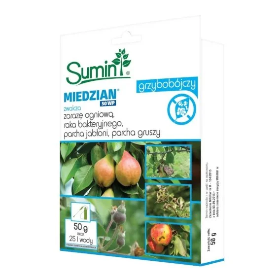 edukamp-420260612163932129941