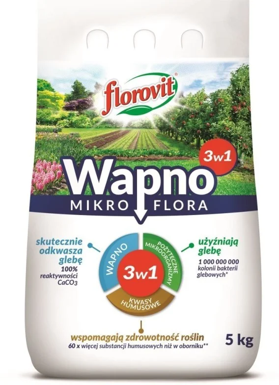 edukamp-420260612204827162561