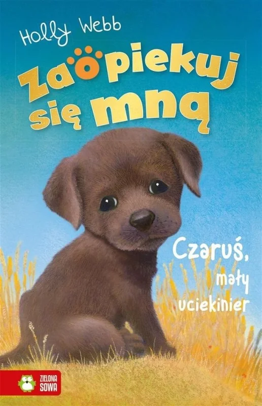 edukamp-420260613013052207079