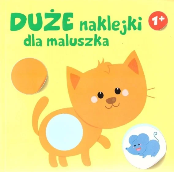 edukamp-420260613022933212847