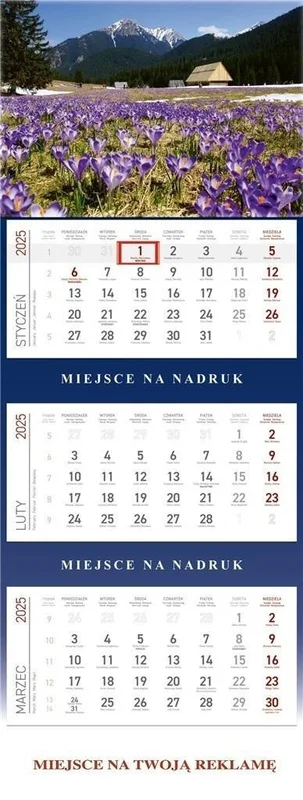 edukamp-420260613042555225149