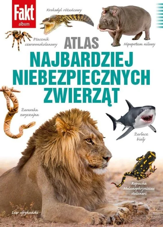 edukamp-420260613064938239457