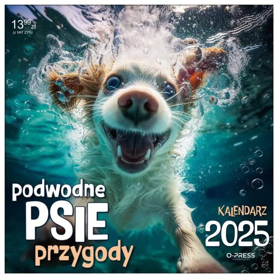 edukamp-420260613164152284611