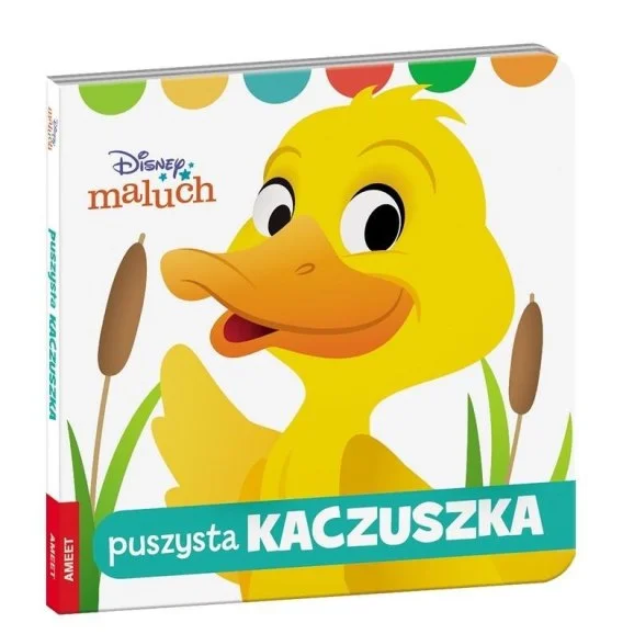edukamp-420260613211019325071