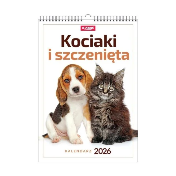 edukamp-420260614021749360996