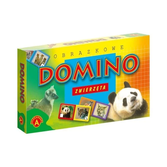 edukamp-420260614023254362561