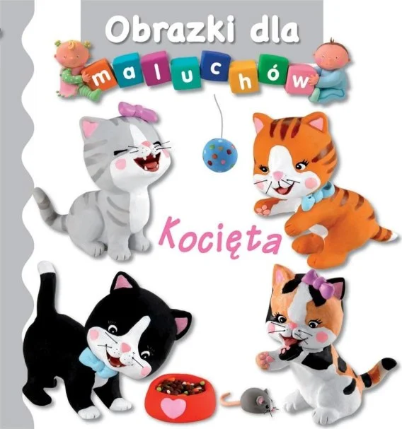 edukamp-420260614100344388237