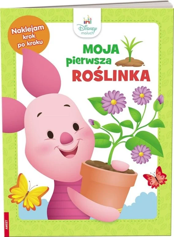 edukamp-420260614134635398427