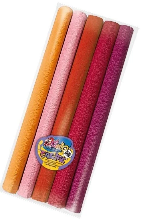 edukamp-420260614144844410795
