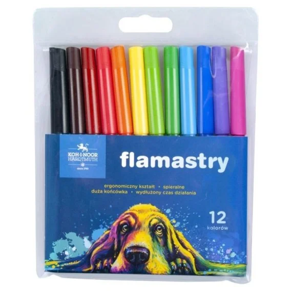 edukamp-420260614153634421279
