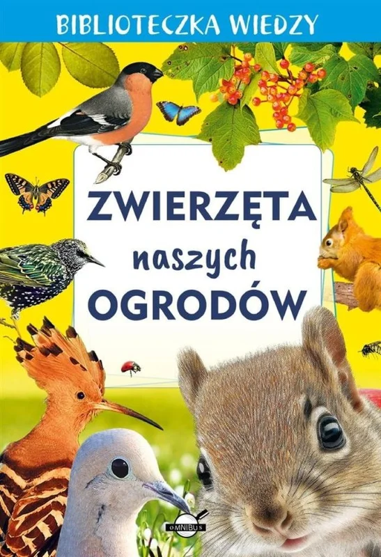 edukamp-420260614221012481702