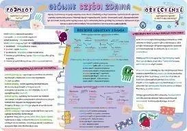 edukamp-420260614232910488142
