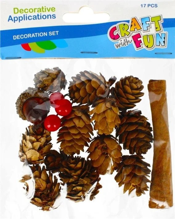 edukamp-420260615012511494588