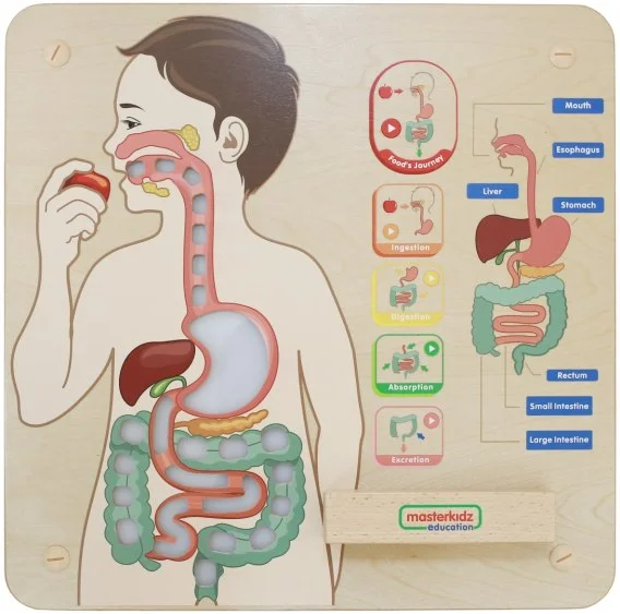 mulan-1202606102125353628598